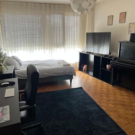 2 Bedroom Flat Near Nations And In The Center Geneva Ngoại thất bức ảnh